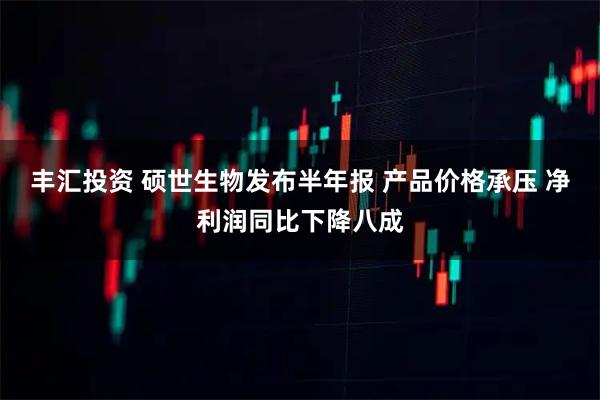 丰汇投资 硕世生物发布半年报 产品价格承压 净利润同比下降八成