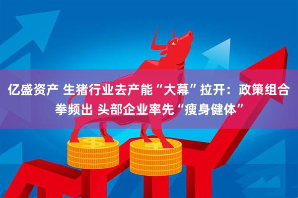 亿盛资产 生猪行业去产能“大幕”拉开：政策组合拳频出 头部企业率先“瘦身健体”