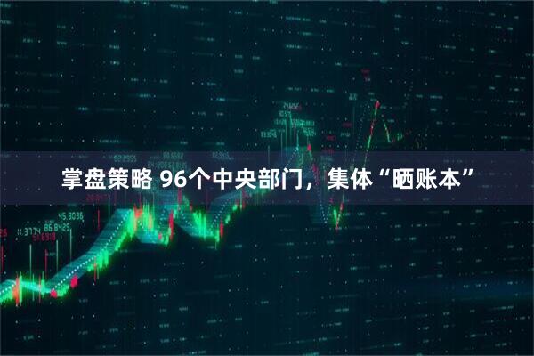 掌盘策略 96个中央部门，集体“晒账本”