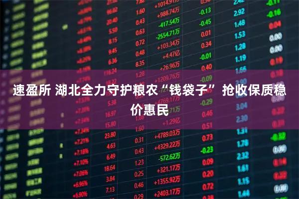 速盈所 湖北全力守护粮农“钱袋子” 抢收保质稳价惠民