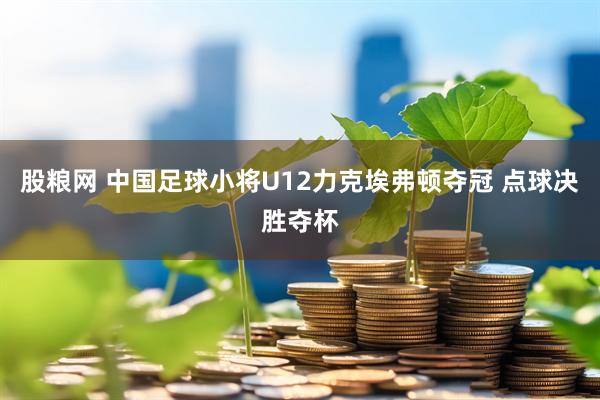 股粮网 中国足球小将U12力克埃弗顿夺冠 点球决胜夺杯