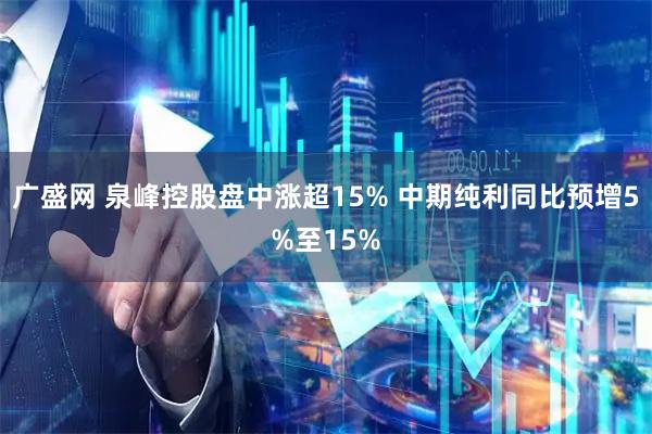 广盛网 泉峰控股盘中涨超15% 中期纯利同比预增5%至15%